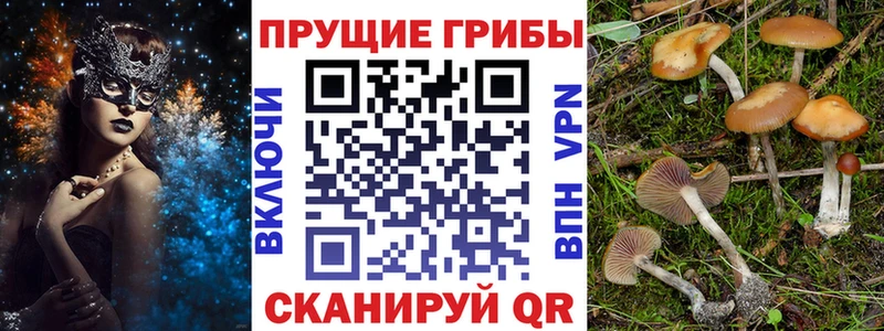 Псилоцибиновые грибы ЛСД  Карпинск 